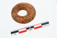Foto von Bernsteinringperle (NHMW-PRAE-026235)